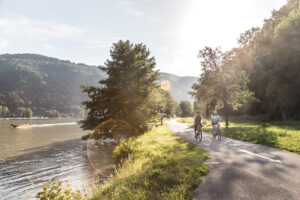 Stále podél Dunaje – cyklostezka poblíž Schlögener Schlinge. © Oberösterreich Tourismus GmbH / Moritz Ablinger